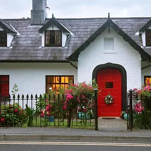 Frühstückspension Ivy, Killarney